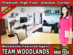 Blk 687B Woodlands Drive 75 (Woodlands), HDB 4 Rooms #174573242